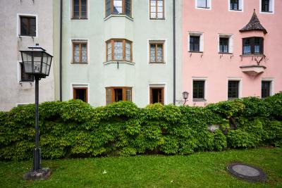 Die grüne Mauer