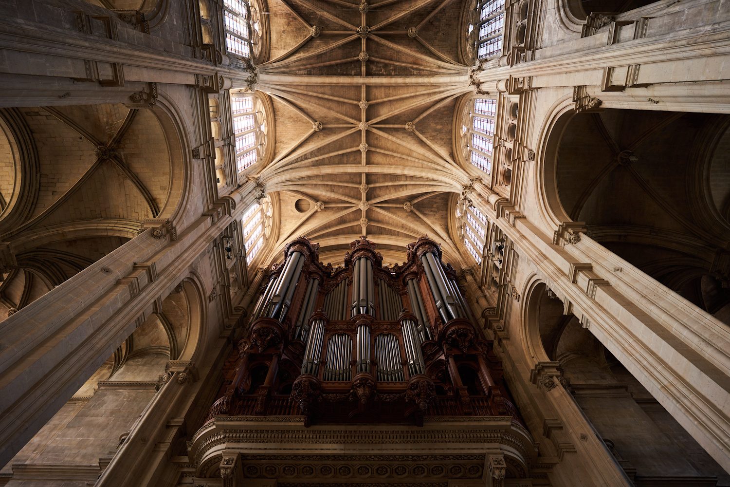 Die Orgel