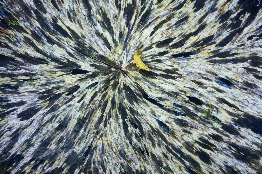 Radial