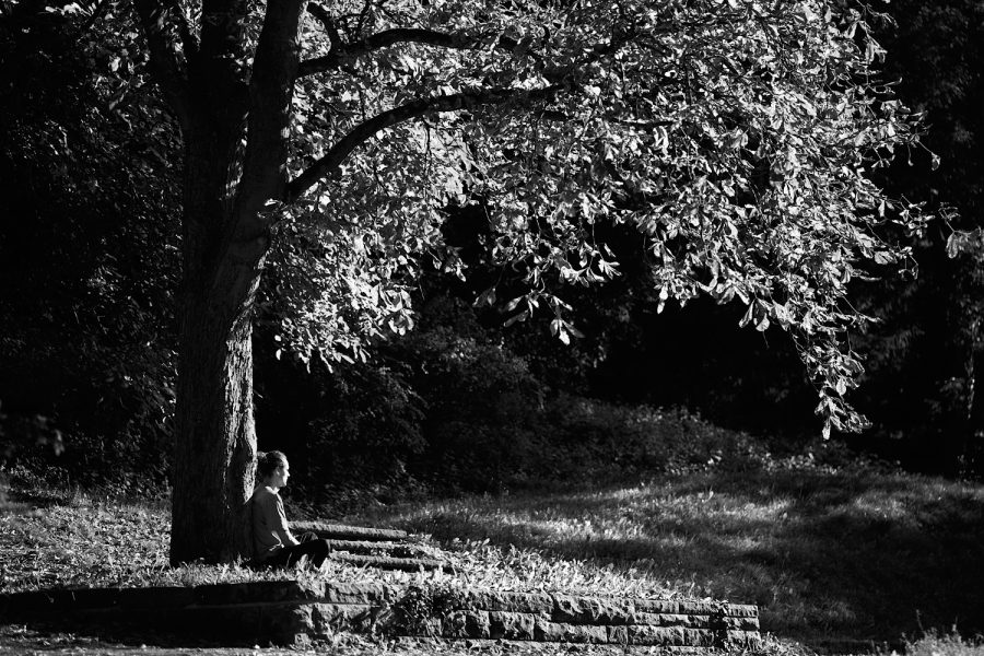 Unter dem Baum