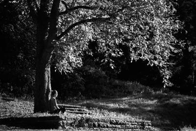 Unter dem Baum