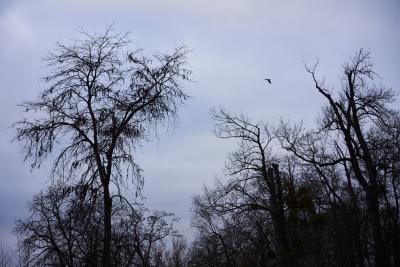Unterwegs