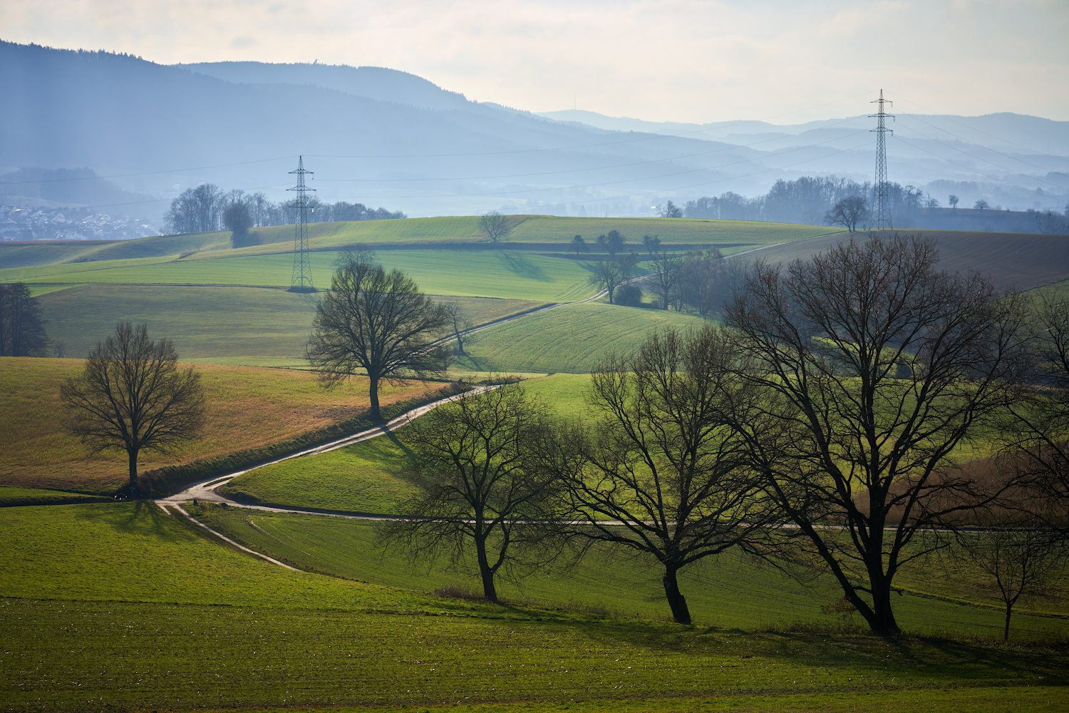 Weg durch die Felder