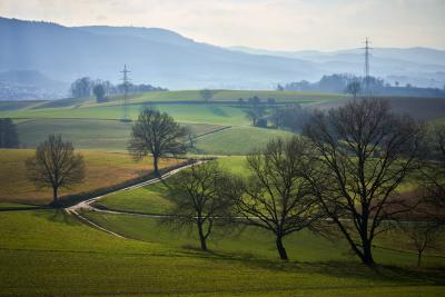 Weg durch die Felder