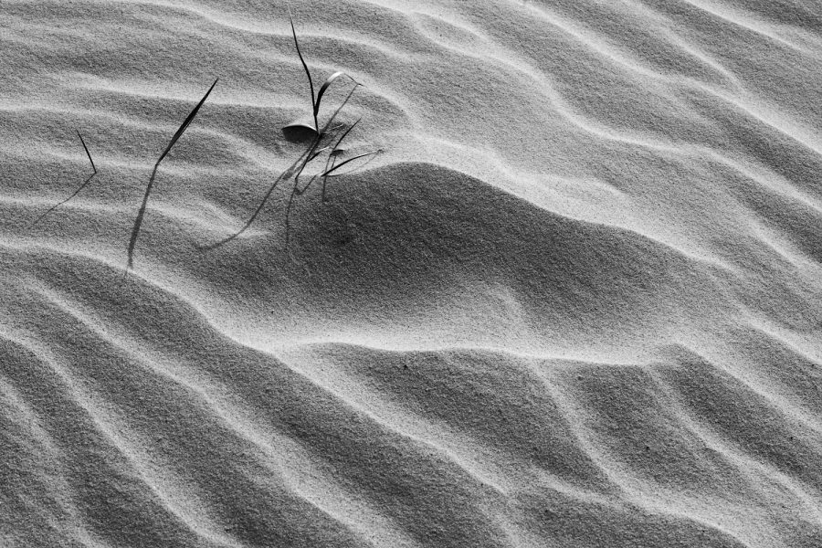 Wellen im Sand