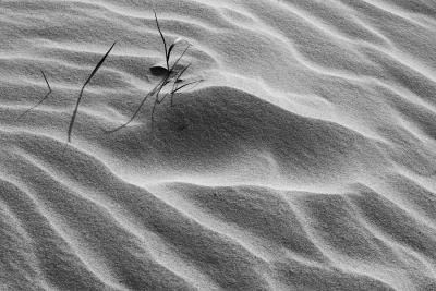 Wellen im Sand