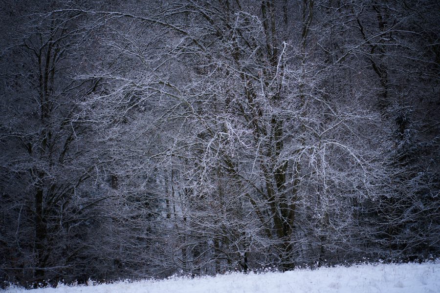 Winterwunder