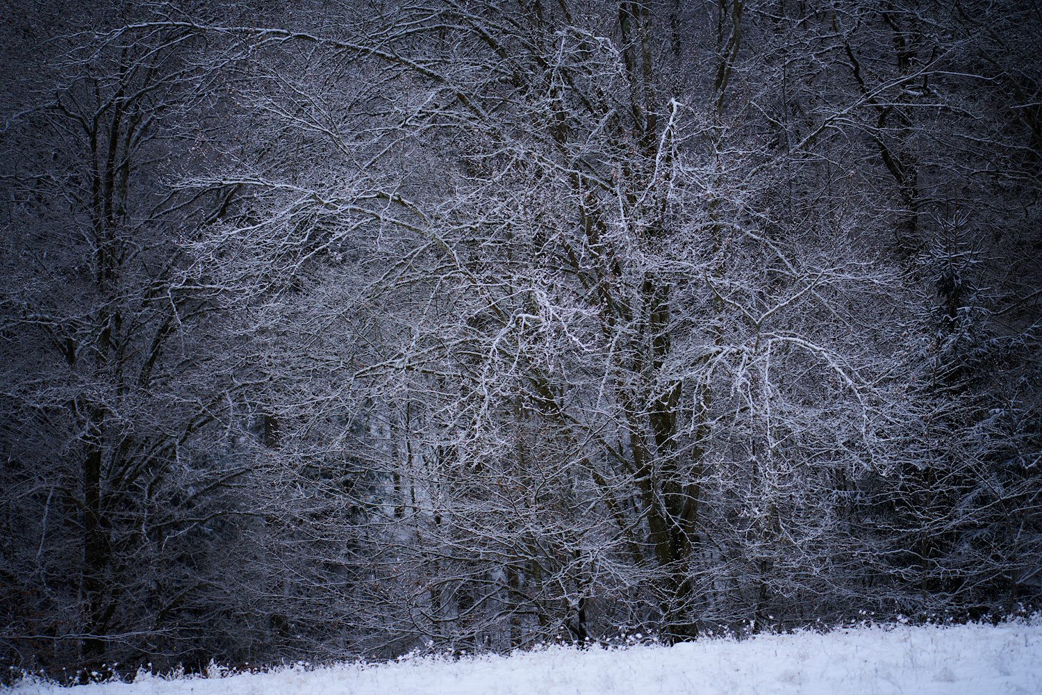 Winterwunder