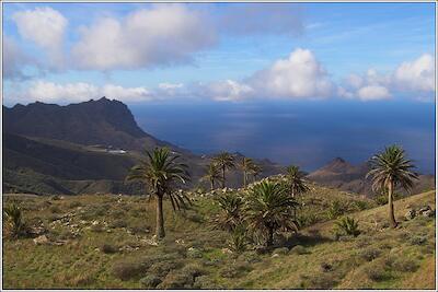 Gomera 26